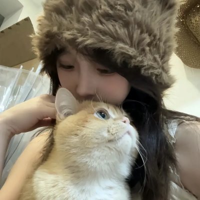 大盗贺钦布龙兹